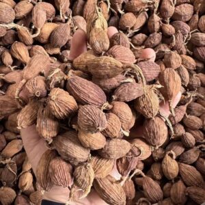 CARDAMOM (BLACK) – PREMIUM EXPORT GRADE (BULK)