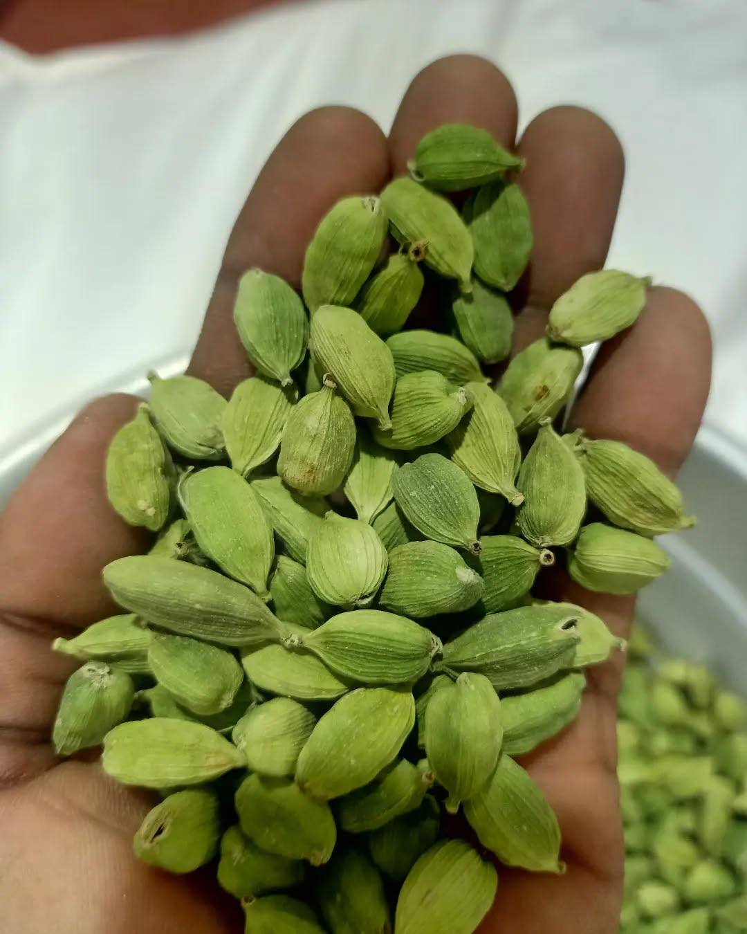 CARDAMOM GREEN PIC2