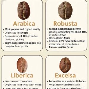 Premium Cocoa Beans – High-Quality Bulk for Global Export