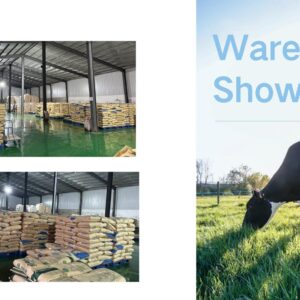 Bulk Fat-Free Milk Powder (FFMP) – Low-Fat Dairy Ingredient for Industrial Use