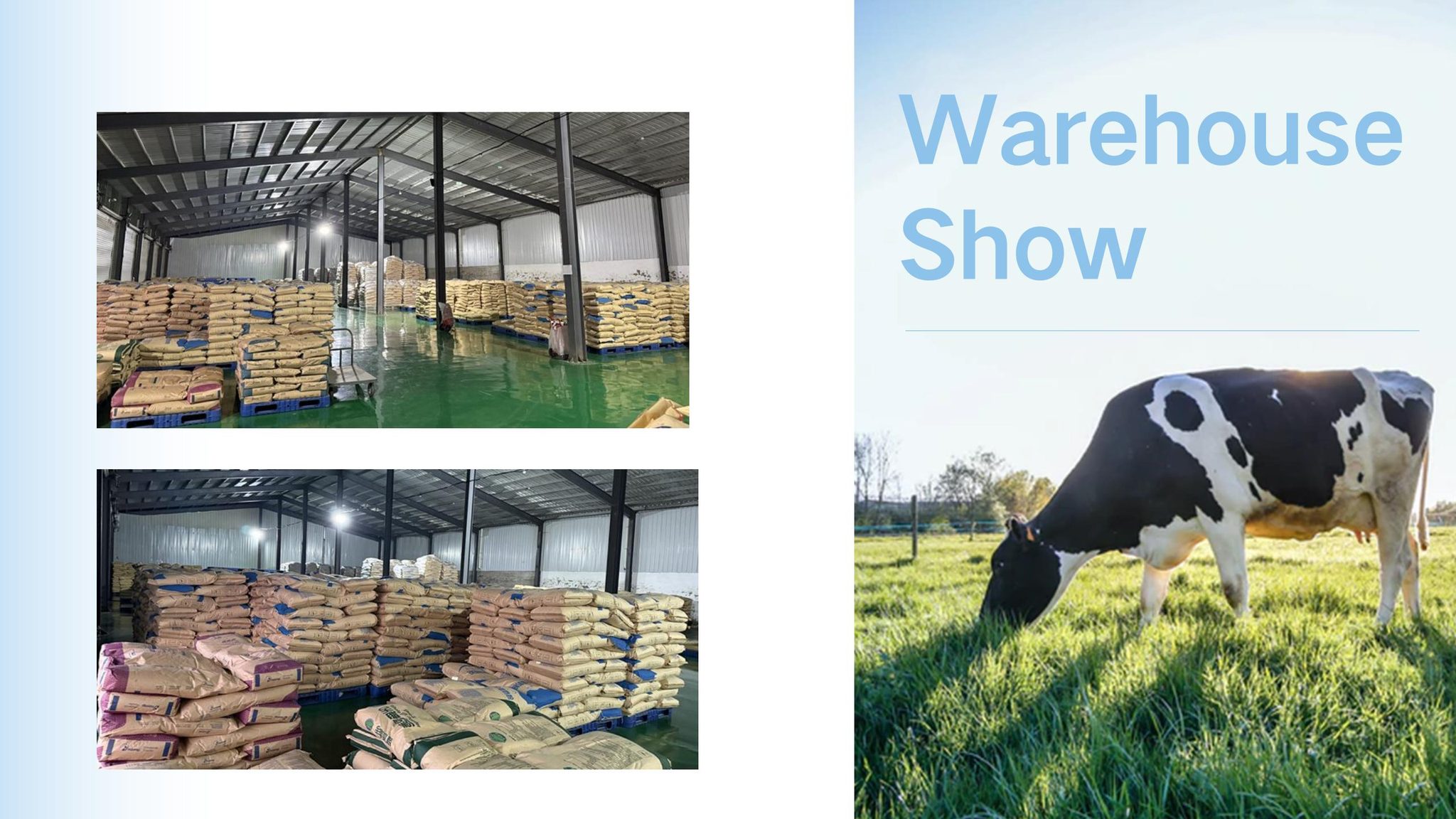 FAT FREE MILK POWDER PIC5