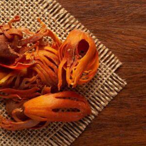 MACE – PREMIUM EXPORT GRADE (BULK