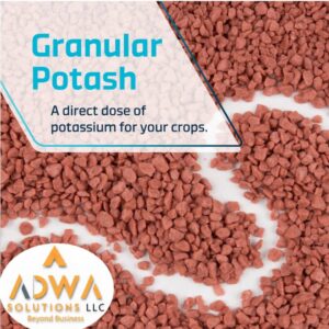 Muriate of Potash (MOP) – Potassium Chloride Fertilizer | 60–62% K₂O | Red / White Granular & Powder | Agricultural & Industrial Grade