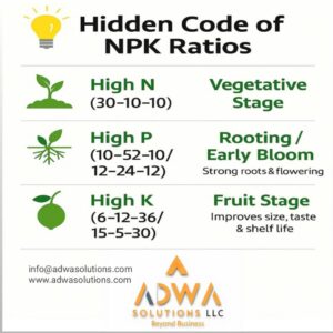 NPK 12-24-12 Granular Fertilizer – High-Phosphorus Balanced Fertilizer | Agricultural & Industrial Grade | Bulk Supply for Farms & Blending Plants