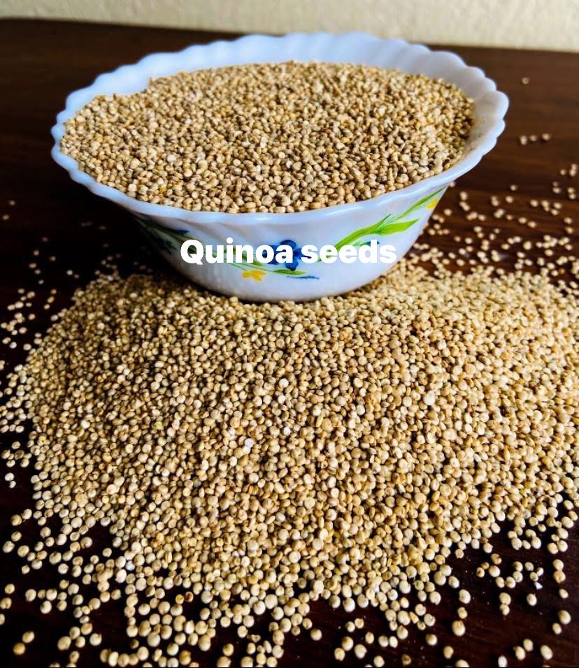 QUINOA PIC2