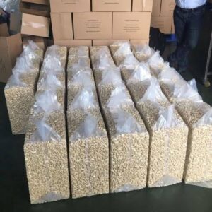 Premium Raw Cashew Nuts – Bulk Export for Food Processors & Distributors