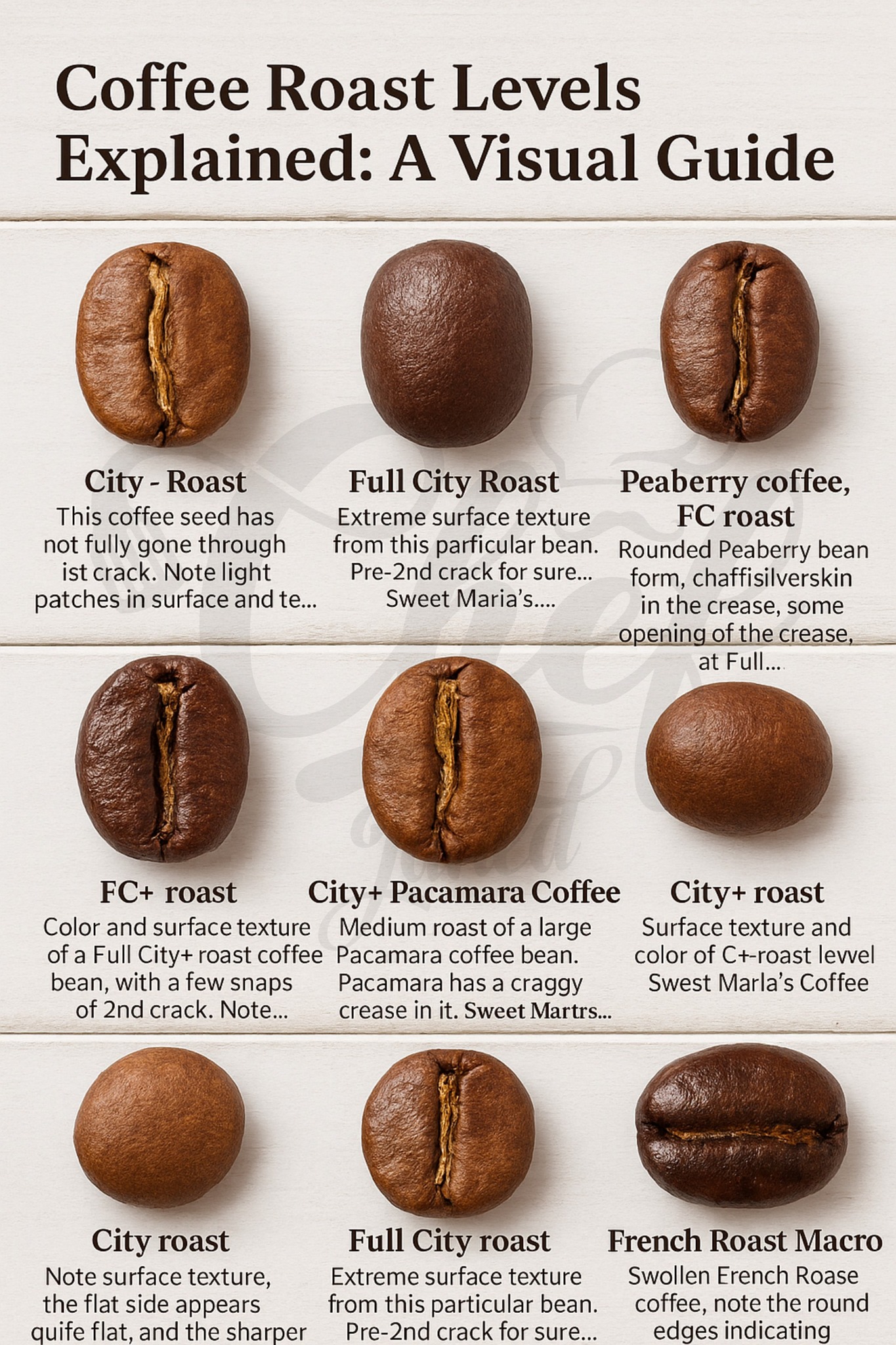 ROASTED COFFEE BEANS PIC1