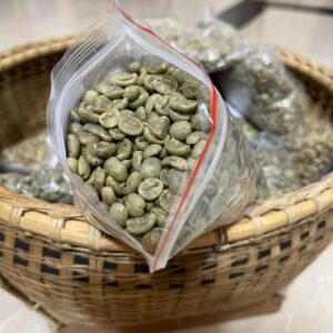 Premium Robusta Green Coffee Beans – High-Yield Export Quality