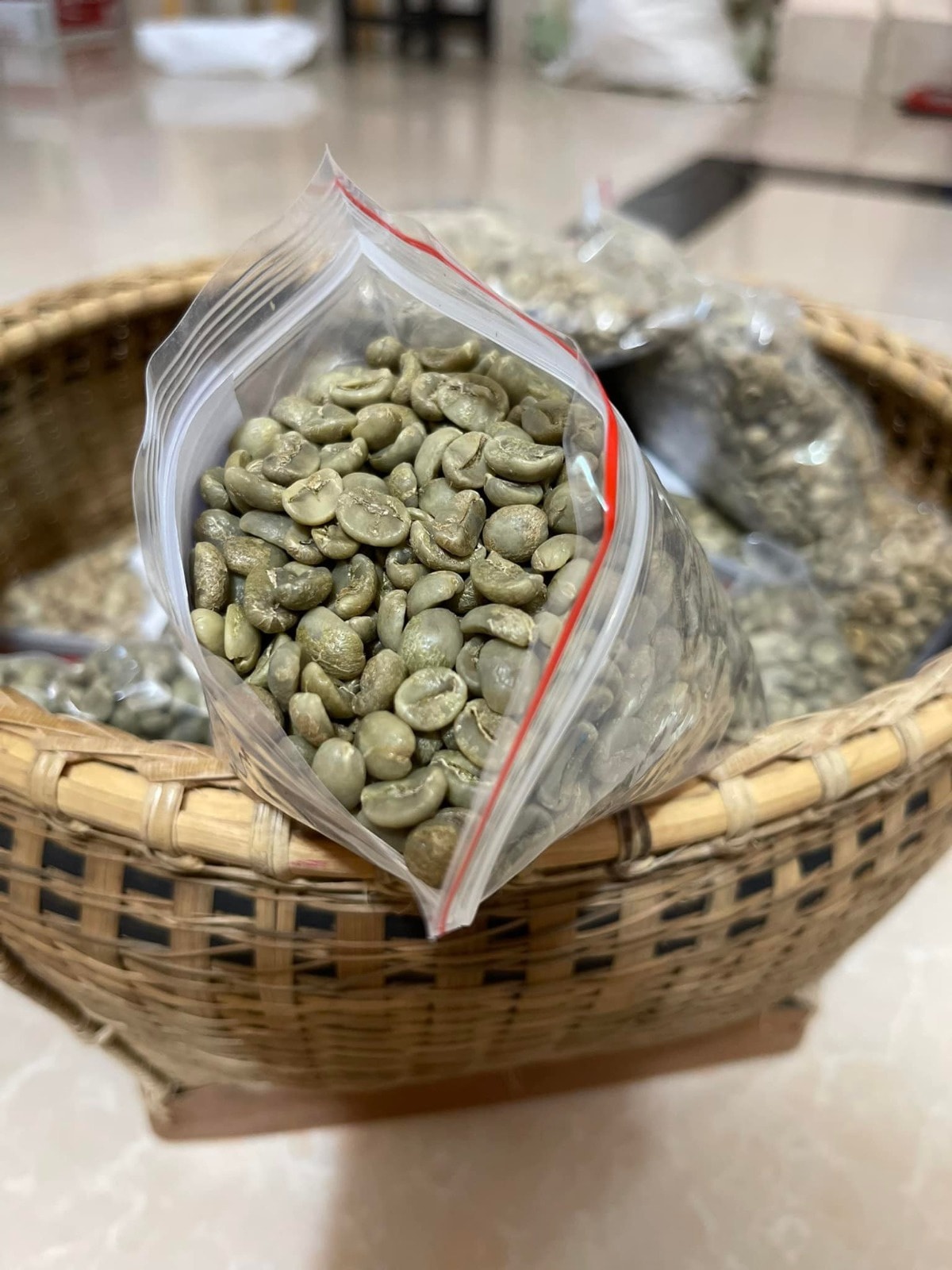 ROBUSTA COFFE BEANS PIC1