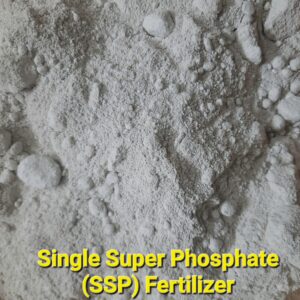 Single Super Phosphate (SSP) – Phosphorus Fertilizer 16–18% P₂O₅ | Granular / Powder | Agricultural Grade