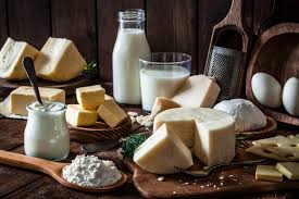 Dairy products (milk powder, cheese, butter, yogurt)