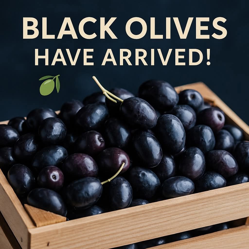 BLACK OLIVES PIC 01